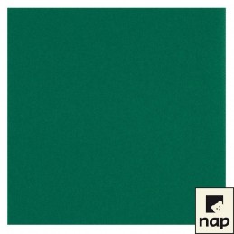 Serviette jetable celisoft 40x40cm vert sapin