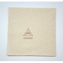 Serviette papier écologique 40x40cm par 50