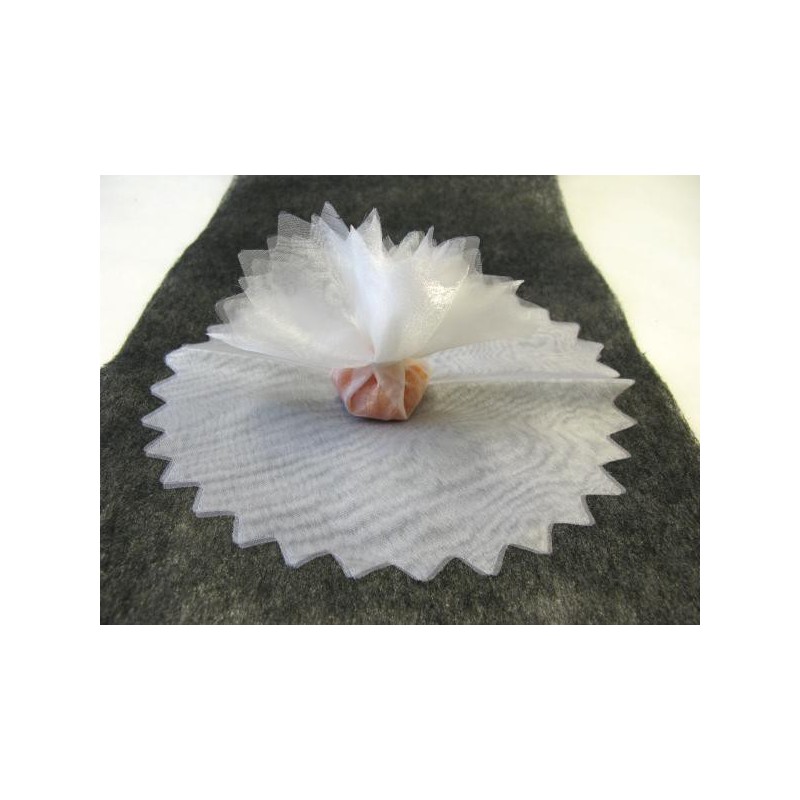 Rond en organza feston en pointe blanc