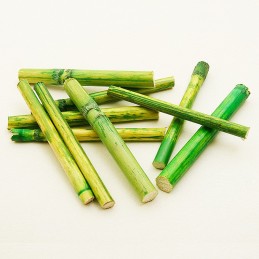 Décoration tige en bambou 8cm