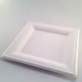 Assiette carrée Écologique 20cm par 12