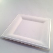 Assiette carrée Écologique 20cm par 12