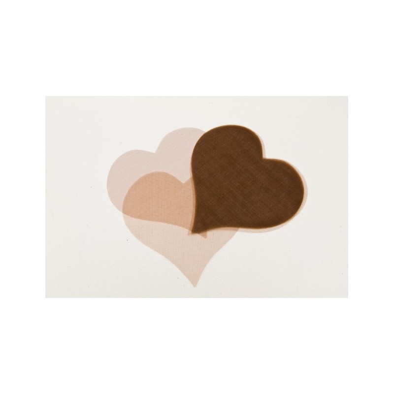Confettis coeur en organza chocolat