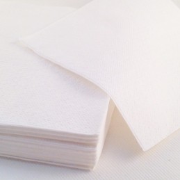 Serviette papier blanc 1 pli 30cm par 100