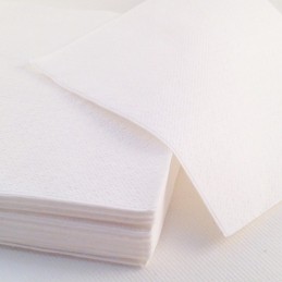 Lot De 100 Serviettes En Papier baina 30x30cm Blanc - Paris Prix