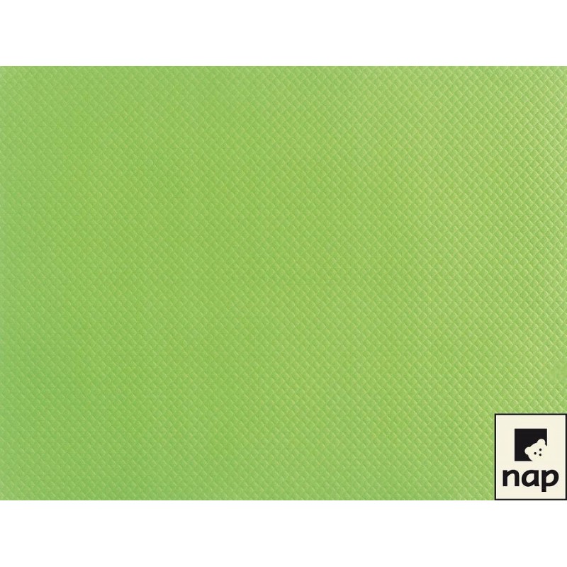 Set de table papier vert anis par 10