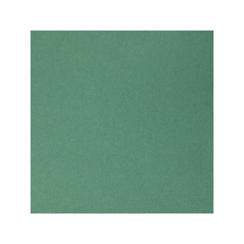 Serviette jetable micropointe 38x38cm vert sapin par 40 Serviette jetable micropointe 38x38cm vert sapin par 40