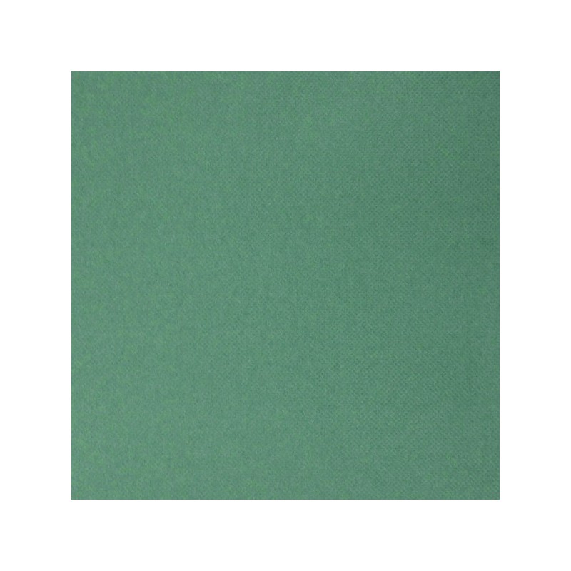 Serviette jetable micropointe 38x38cm vert sapin par 40