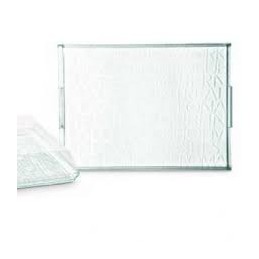 HTAIGUO Plateaux de Service en Plastique - Plateaux de Service Rectangle  9X13 Plat de Fête Jetable Cristal Clair Paquet de 4 